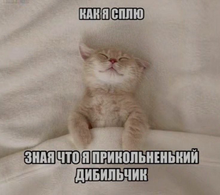 Скриншот личного сайта