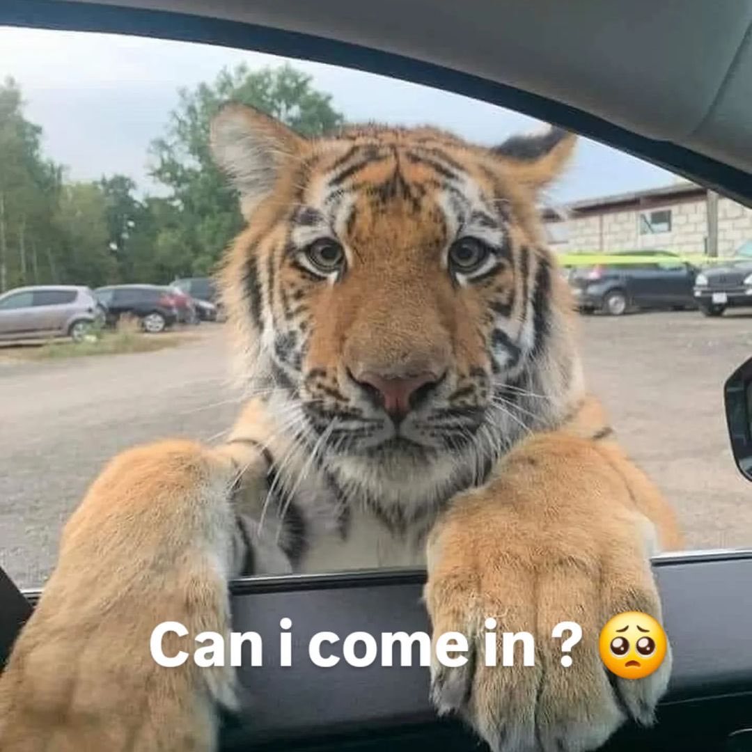 Скриншот API проекта